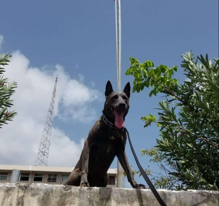 k91