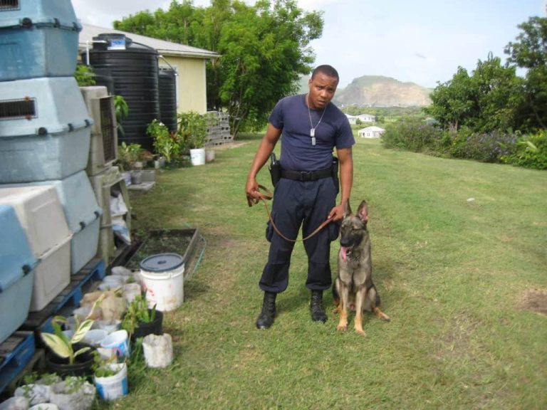 k92